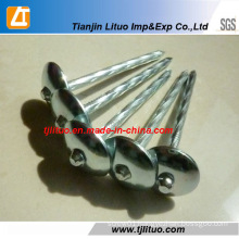 Galvanized Umbrella Head Roofing Nails Manufacturer